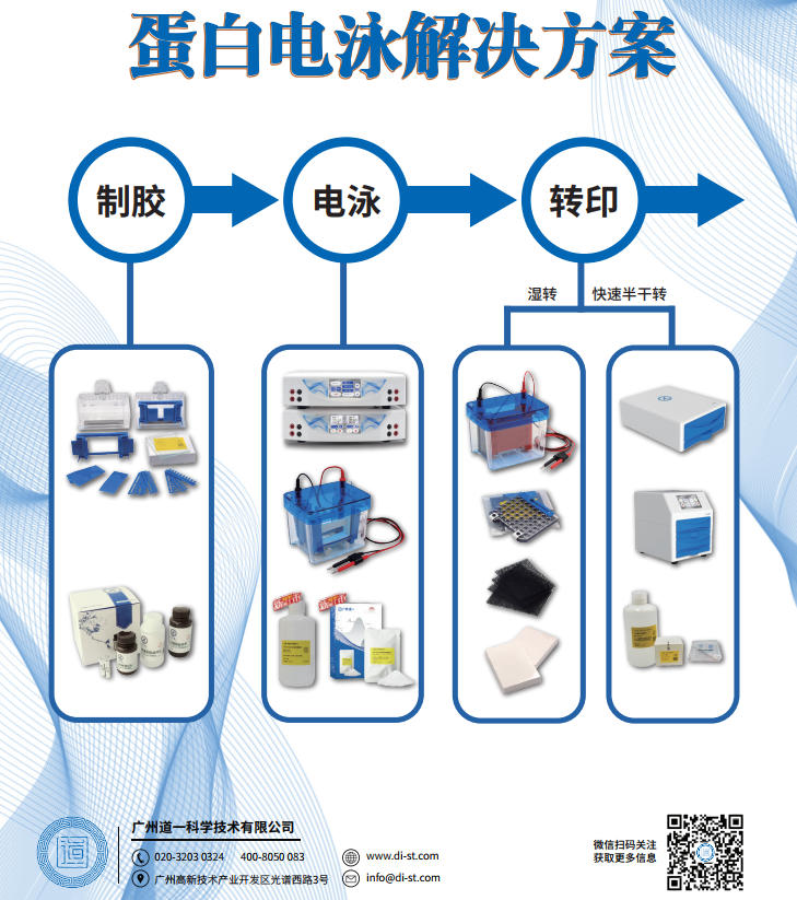 电泳缓冲液2.png