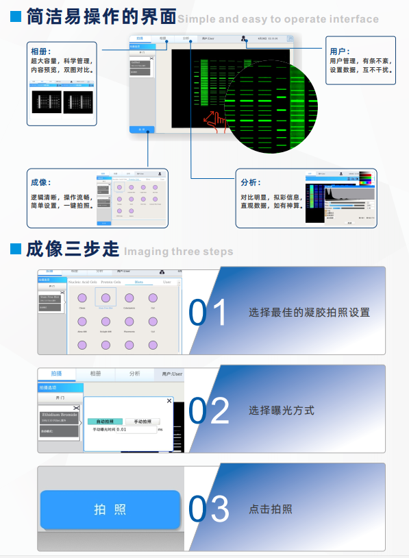 凝胶成像3.png