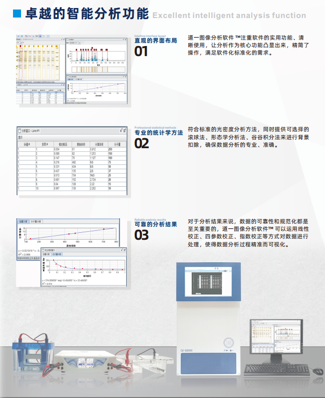 凝胶成像4.png