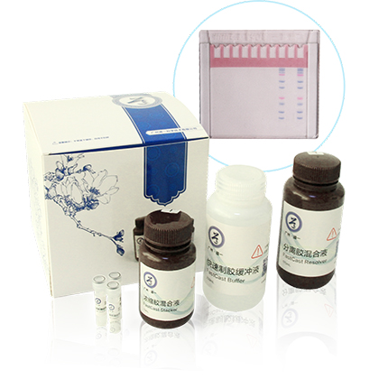 PAGE 彩色快速制胶试剂盒